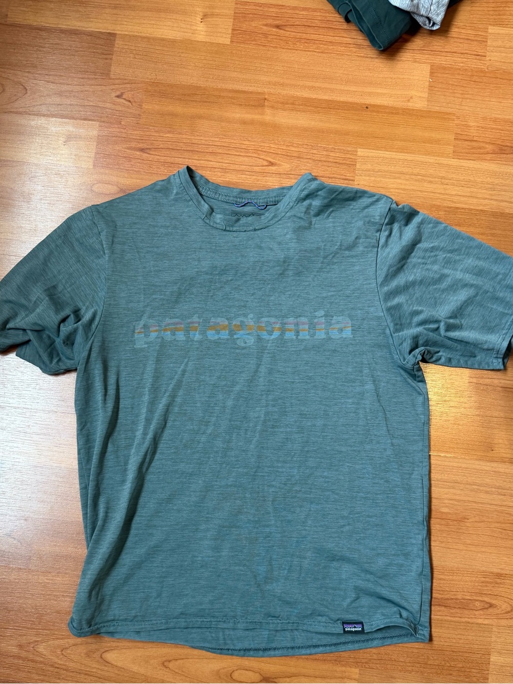 Patagonia Capliene cool Men's Short Sleeve Logo Tee in Teal xs